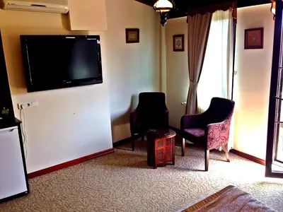 a living room with two chairs and a flat screen tv at Naz Wooden House Inn in Istanbul