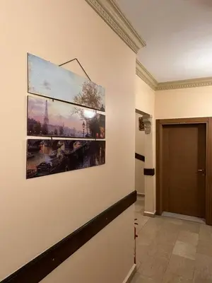 a painting hanging on a wall in a hallway at Hanedan Hotel in Istanbul