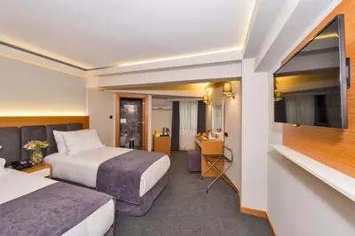 a hotel room with two beds and a flat screen tv at Bergama Hotel Old City in Istanbul