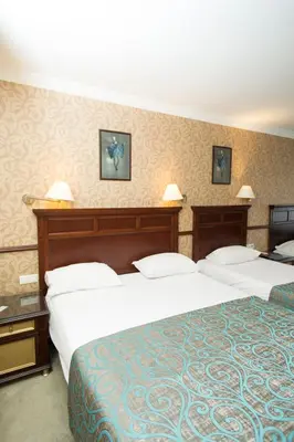 a hotel room with two beds in a room at Topkapi Inter Istanbul Hotel in Istanbul
