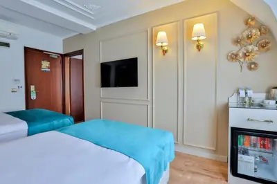 a hotel room with a bed and a television at Orient Express & Spa by Orka Hotels in Istanbul