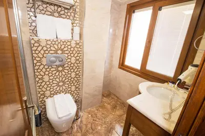 a bathroom with a shower with a toilet and a sink at A'la Sofia Hotel İstanbul in Istanbul