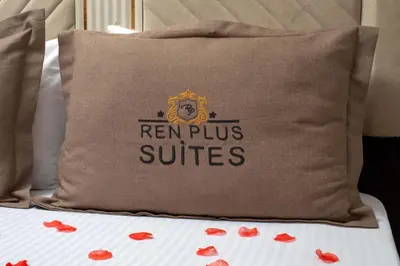 a pillow with the ryan puss cushions on a bed at REN PLUS SUITES in Istanbul