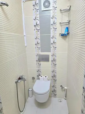 a bathroom with a toilet and a shower at Osmanbey sweet homes in Istanbul
