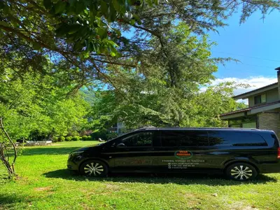a black van parked in the grass under a tree at Villa Kirkpinar Sapanca in Sapanca