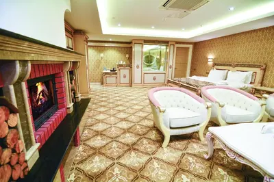 a living room with a fireplace and a bed and a couch at World Point Hotel Istanbul in Istanbul