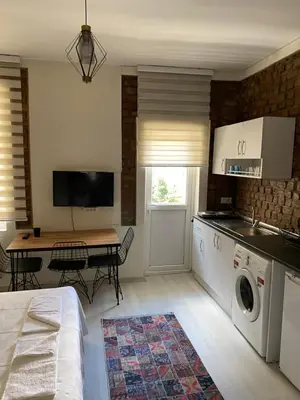 a kitchen with a washer and dryer in a room at Zelya Istanbul Flats in Istanbul