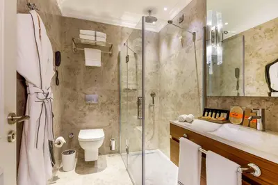 a bathroom with a shower and a toilet and a sink at Amiral Palace Hotel Boutique Class in Istanbul