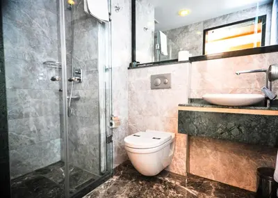 a bathroom with a shower and a toilet and a sink at Hotel Erguvan - Special Category in Istanbul