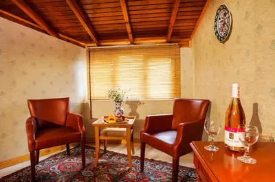 a living room with two chairs and a bottle of wine at Hotel Erguvan - Special Category in Istanbul