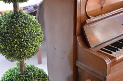 a potted plant next to a wooden piano at Grand Park Hotel Corlu City Center Bed and Breakfast in Corlu