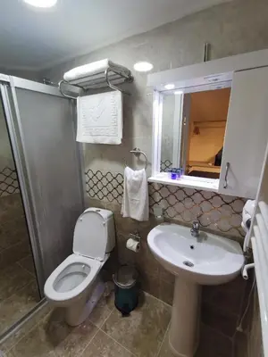 a bathroom with a toilet and a sink and a mirror at Efzen hotel in Istanbul