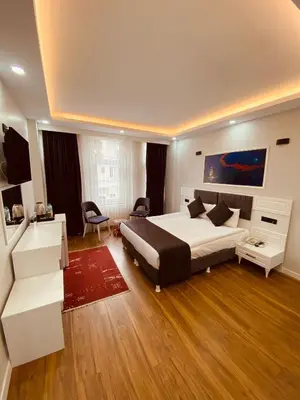 a bedroom with a large white bed in a room at Hodegon Suite Hotel in Istanbul