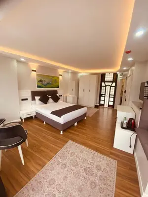 a large bedroom with a bed and a couch at Hodegon Suite Hotel in Istanbul
