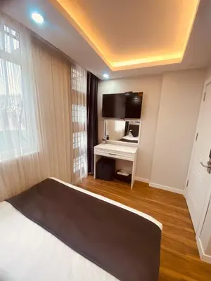 a room with a bed and a tv and a couch at Hodegon Suite Hotel in Istanbul