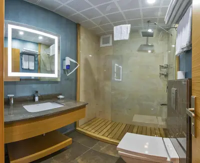 a bathroom with a shower and a sink and a toilet at Bisetun Hotel in Istanbul
