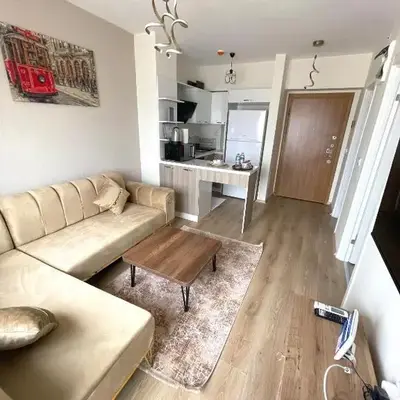 Classic Suite MS34