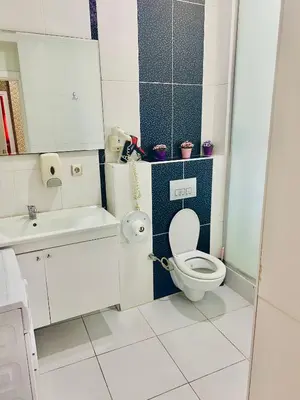 a small bathroom with a toilet and a sink at White Suites Hotel İstanbul in Istanbul