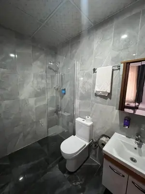 a bathroom with a toilet and a shower and a sink at Oren Hotel in Istanbul