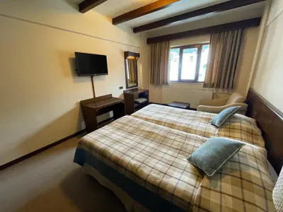 a hotel room with a bed and a television at Beceren Hotel in Bursa