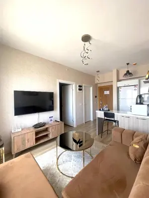 a living room with a couch and a flat screen tv at Classic Suite TS22 in Esenyurt