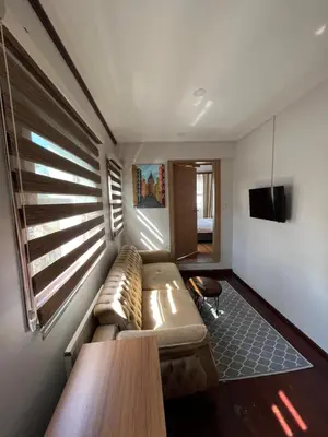 a living room with a couch and a tv at PALMERA ART HOUSE in Istanbul