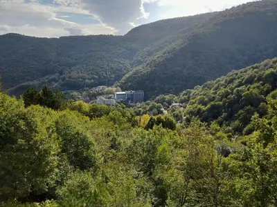 a building in the middle of a valley with trees at Turkish Mountain Retreat in Saadet