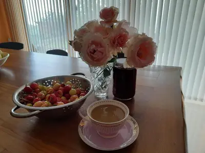 a table with a vase of roses and a bowl of fruit at Turkish Mountain Retreat in Saadet