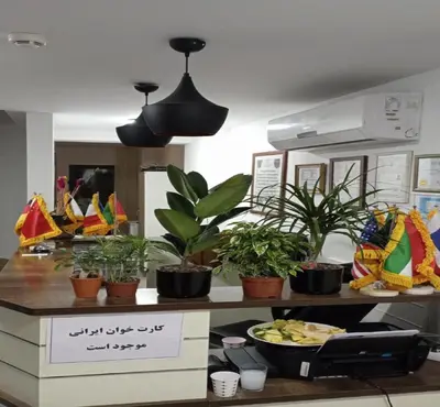 a kitchen with potted plants on a counter at Taksim Soushian Hotel in Istanbul