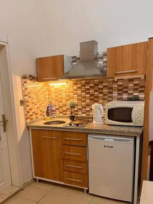 a small kitchen with a microwave and a sink at Elegance Aparts Cihangir in Istanbul