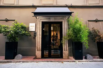 a door to a building with two potted plants at DeCamondo Residence in Istanbul