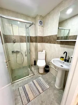 a bathroom with a shower and a toilet and a sink at Mr Miller Suite in Istanbul