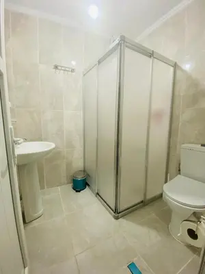 a bathroom with a shower and a toilet and a sink at Stylish Hotel Old City in Istanbul