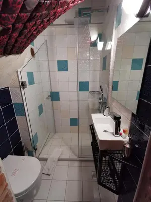 a bathroom with a shower and a sink and a toilet at Casa 1899 in Istanbul
