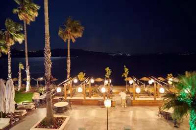 a view of a beach at night with palm trees at Parmos Otel in Erdek